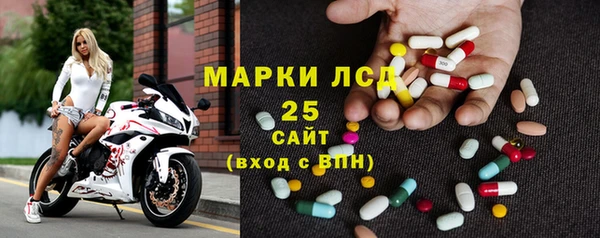 apvp Алзамай