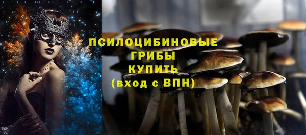 apvp Алзамай